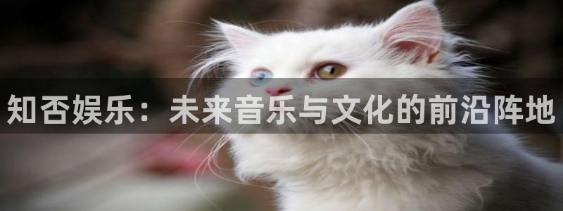 蓝图娱乐平台管网入口：知否娱乐：未来音乐与文化的前沿阵地