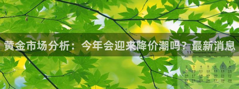 蓝图娱乐注册网页版：黄金市场分析：今年会迎来降价潮吗？最新消息