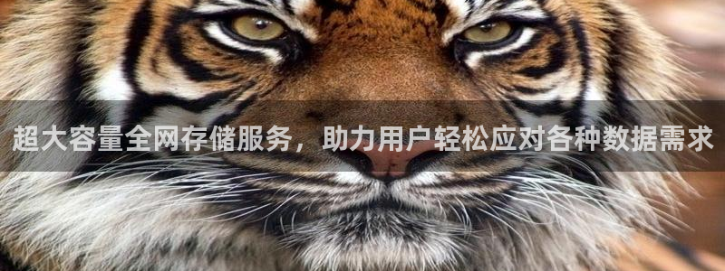 蓝图娱乐有梦你就来：超大容量全网存储服务，助力用户轻松应对各种数据需求