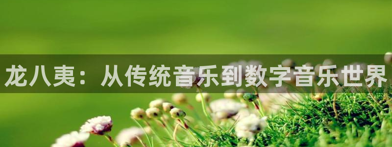 壹号平台app下载安装：龙八夷：从传统音乐到数字音乐世界