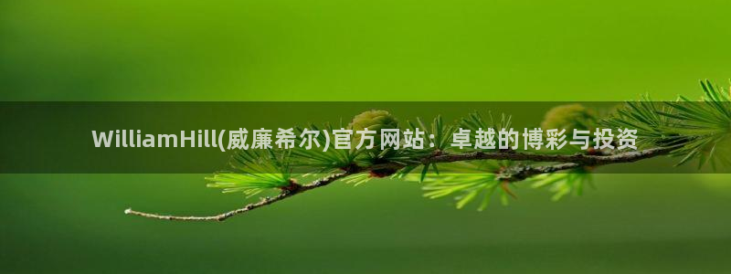 蓝图娱乐招商：WilliamHill(威廉希尔)官方网站：卓越的博彩与投资