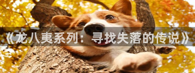 蓝图娱乐app最新版：《龙八夷系列：寻找失落的传说》