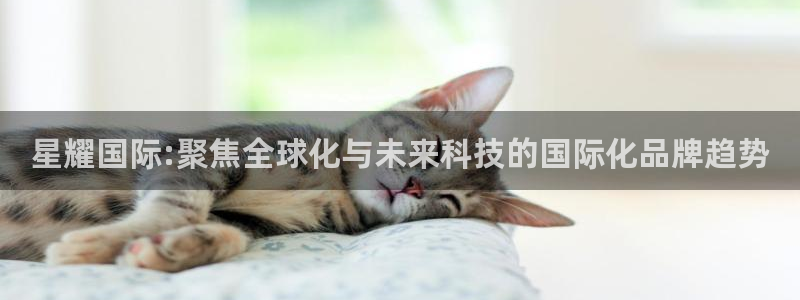 蓝图娱乐电子游戏网页版：星耀国际:聚焦全球化与未来科技的国际化品牌趋势