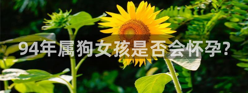 蓝图娱乐下载官网入口在哪：94年属狗女孩是否会怀孕?
