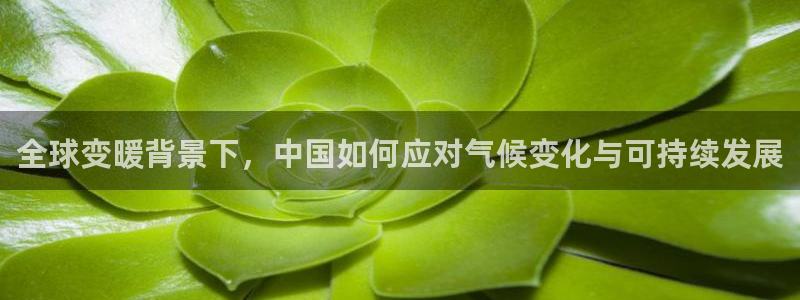 蓝图娱乐,apk.1：全球变暖背景下，中国如何应对气候变化与可持续发展
