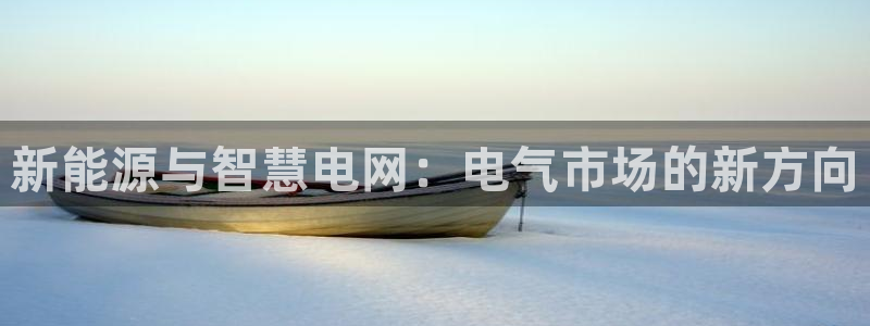 蓝图娱乐平台：新能源与智慧电网：电气市场的新方向