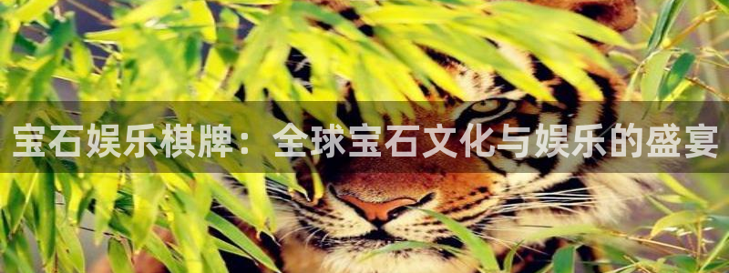 蓝图娱乐电子游戏网页版：宝石娱乐棋牌：全球宝石文化与娱乐的盛宴