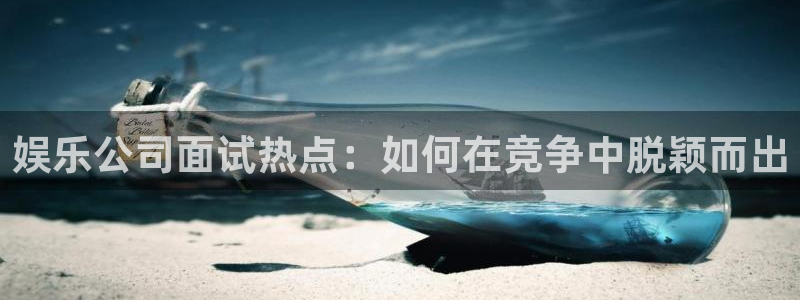 蓝图娱乐游戏官网版：娱乐公司面试热点：如何在竞争中脱颖而出