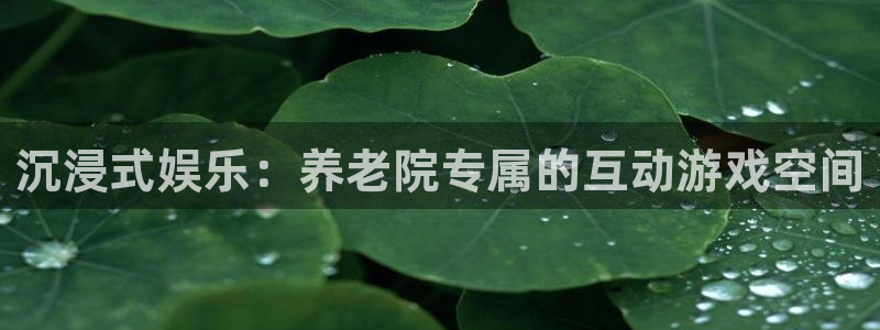蓝图娱乐官网入口：沉浸式娱乐：养老院专属的互动游戏空间