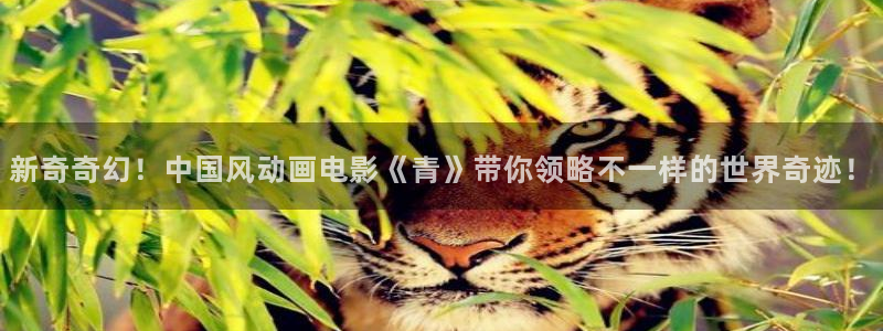 蓝图娱乐app最新版怎么下载苹果：新奇奇幻！中国风动画电影《青》带你领略不一样的世界奇迹！