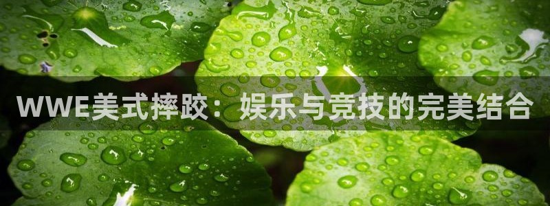pg蓝图娱乐平台下载入口：WWE美式摔跤：娱乐与竞技的完美结合
