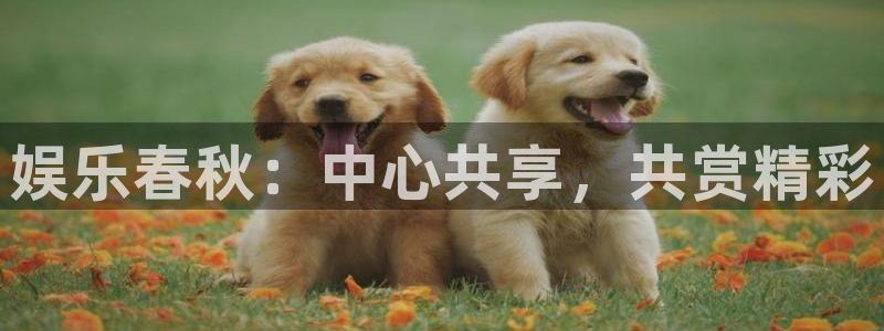 蓝图娱乐注册网页版：娱乐春秋：中心共享，共赏精彩