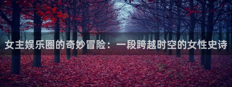 蓝图娱乐登录：女主娱乐圈的奇妙冒险：一段跨越时空的女性史诗
