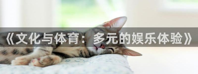 蓝图娱乐app下载：《文化与体育：多元的娱乐体验》