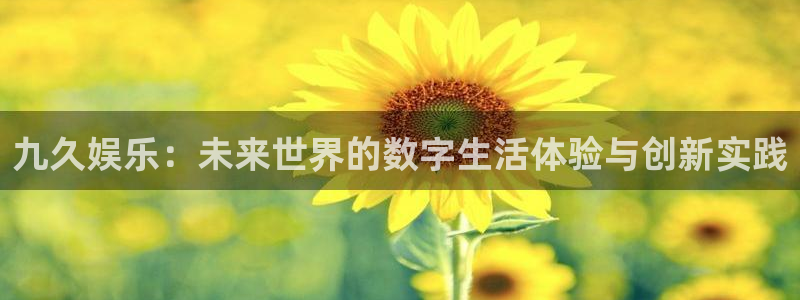 蓝图娱乐官网版：九久娱乐：未来世界的数字生活体验与创新实践