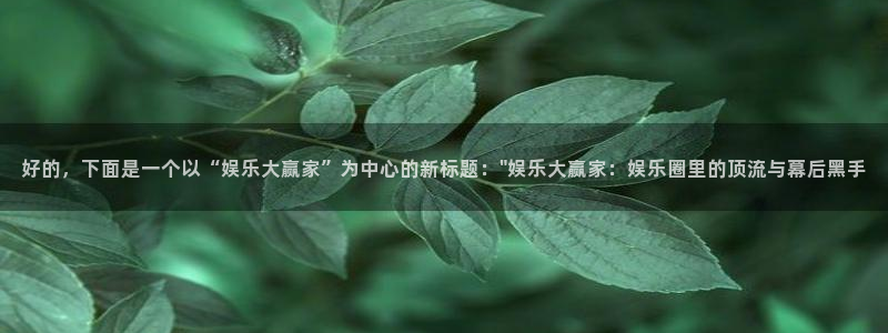 蓝图娱乐网站登录流程：好的，下面是一个以“娱乐大赢家”为中心的新标题：\