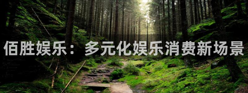 蓝图娱乐是啥：佰胜娱乐：多元化娱乐消费新场景