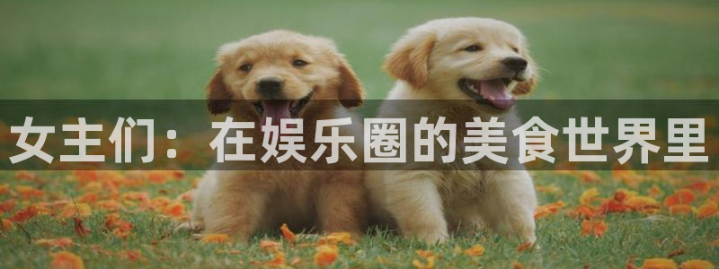 蓝图娱乐是正规平台吗：女主们：在娱乐圈的美食世界里