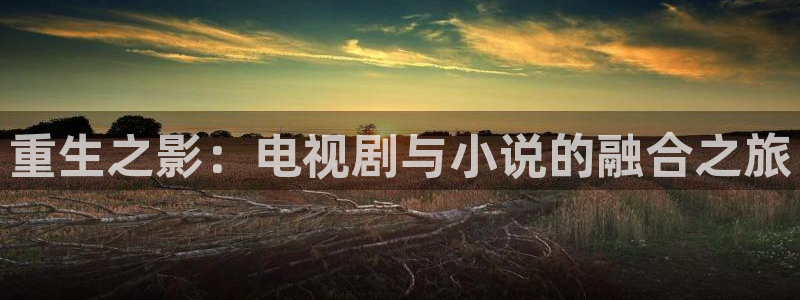 蓝图娱乐是什么平台：重生之影：电视剧与小说的融合之旅