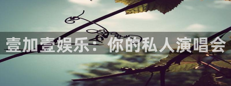 蓝图娱乐网站平台登录：壹加壹娱乐：你的私人演唱会