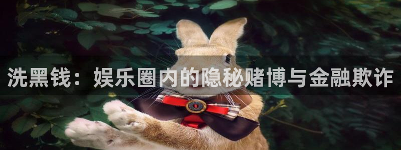 蓝图娱乐路线1：洗黑钱：娱乐圈内的隐秘赌博与金融欺诈