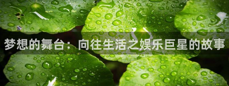 蓝图娱乐app下载地址：梦想的舞台：向往生活之娱乐巨星的故事