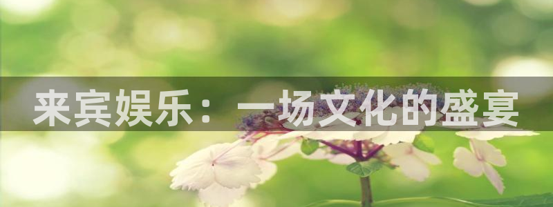蓝图娱乐下载地址：来宾娱乐：一场文化的盛宴