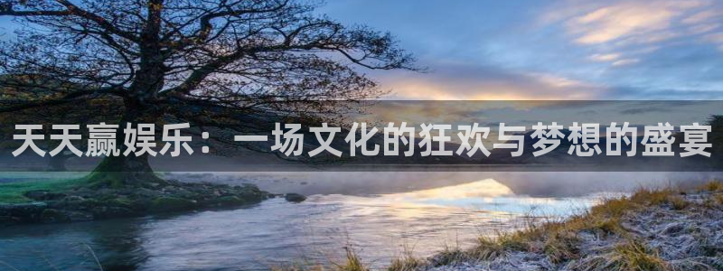 蓝图娱乐软件：天天赢娱乐：一场文化的狂欢与梦想的盛宴