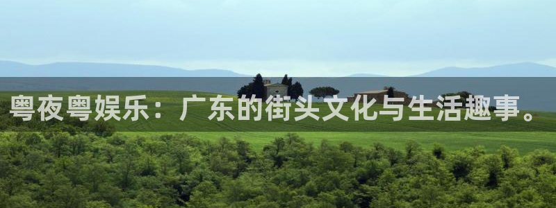 壹号大舞台下载链接：粤夜粤娱乐：广东的街头文化与生活趣事。