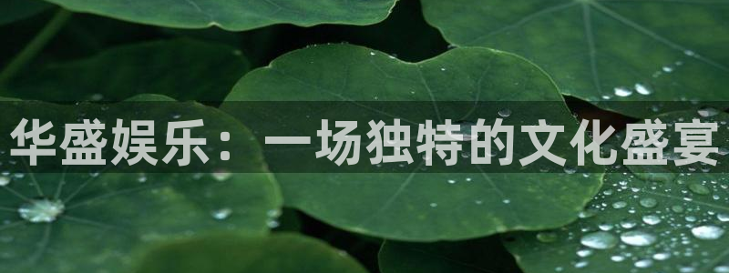 蓝图娱乐pg：华盛娱乐：一场独特的文化盛宴