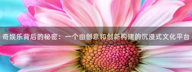 蓝图娱乐app下载官网：奇娱乐背后的秘密：一个由创意和创新构建的沉浸式文化平台