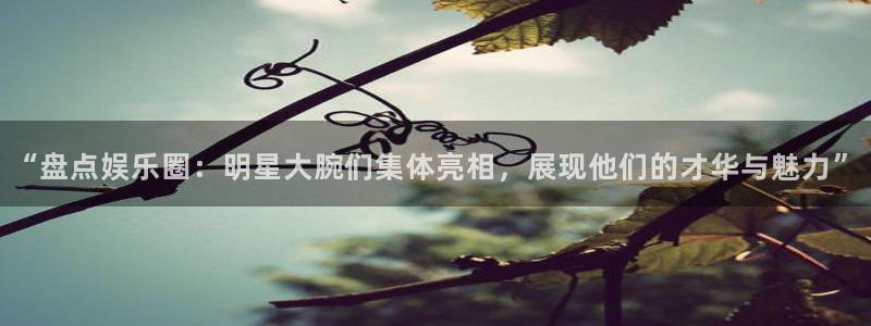 蓝图娱乐ccmpc麻将胡了：“盘点娱乐圈：明星大腕们集体亮相，展现他们的才华与魅力”
