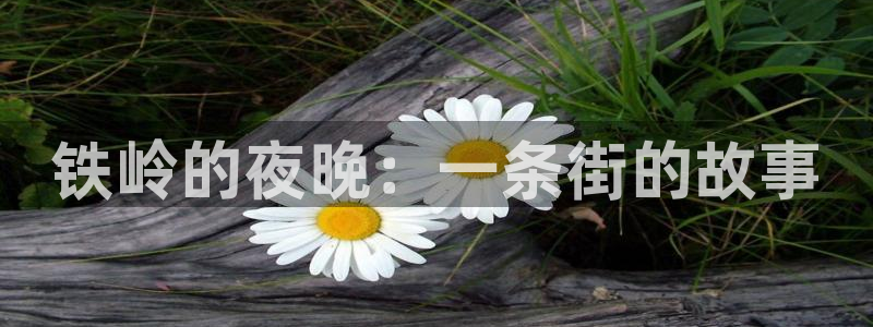 蓝图娱乐：铁岭的夜晚：一条街的故事