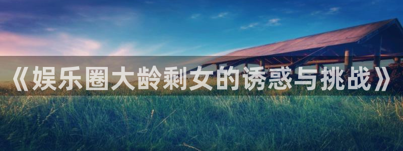 南宫蓝图娱乐官网版：《娱乐圈大龄剩女的诱惑与挑战》
