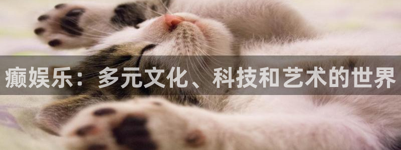 蓝图娱乐网站登录流程：癫娱乐：多元文化、科技和艺术的世界
