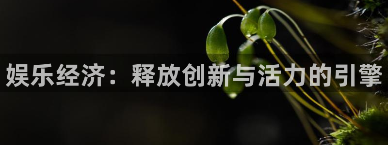蓝图娱乐游戏官网版：娱乐经济：释放创新与活力的引擎